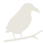 Rabe als LOGO in weiß